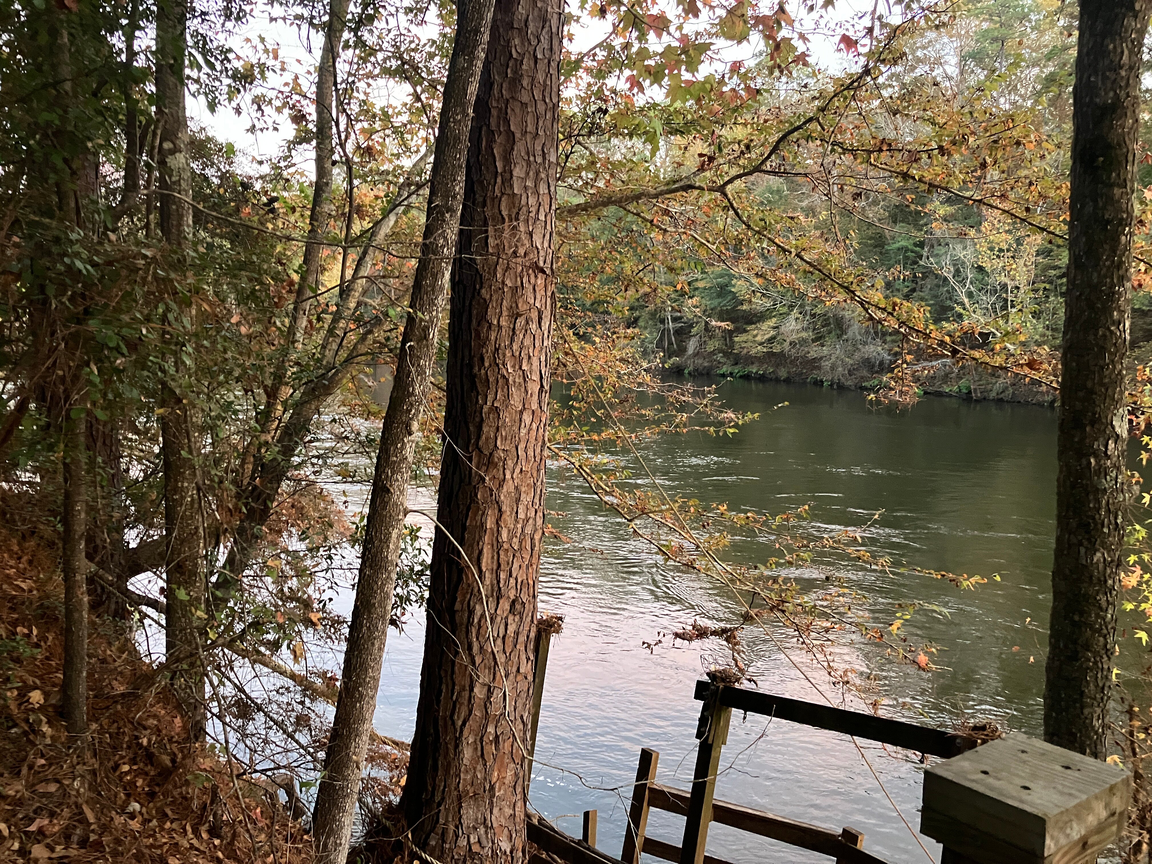 The Bird & Butterfly Inn-官方