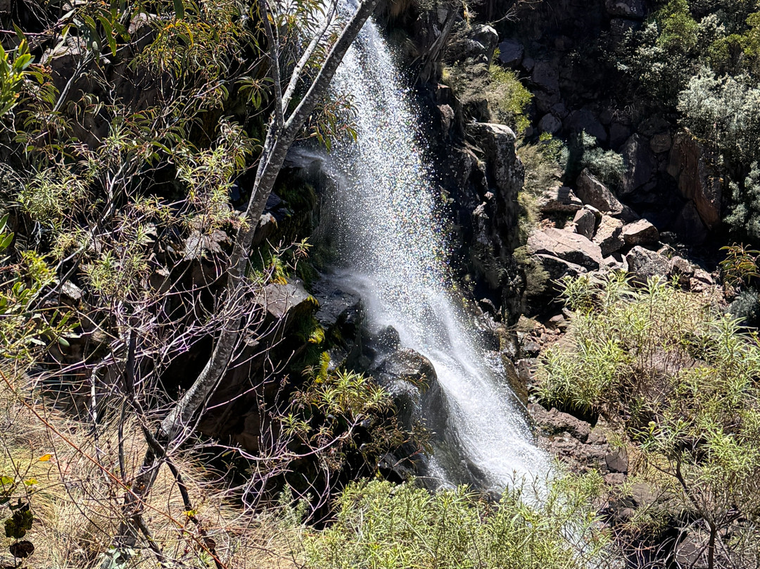 Snowy River Cycling Rail Trail Tours-Orbost必去景点