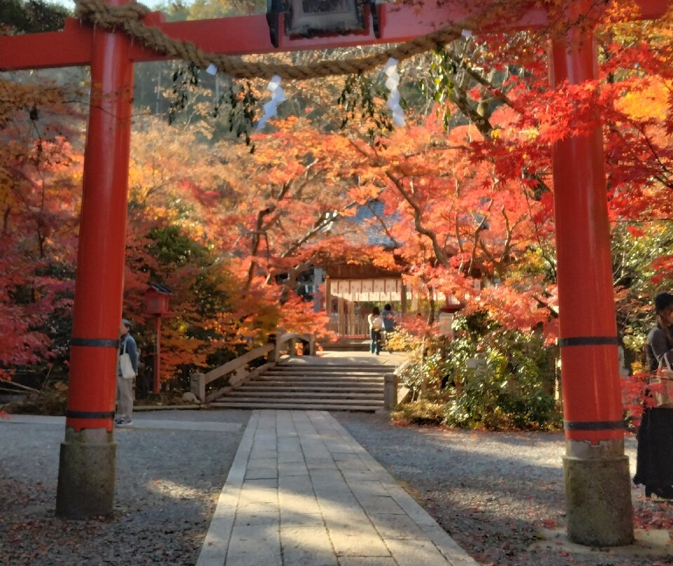 Kuwayama Shrine-龟冈市必去景点