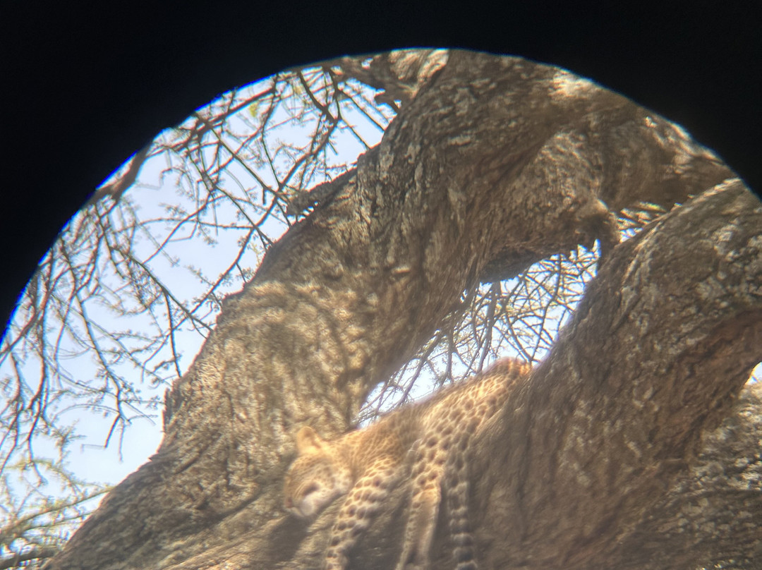 Unlimited Expeditions - The Soul Of Tanzania-阿鲁沙必去景点