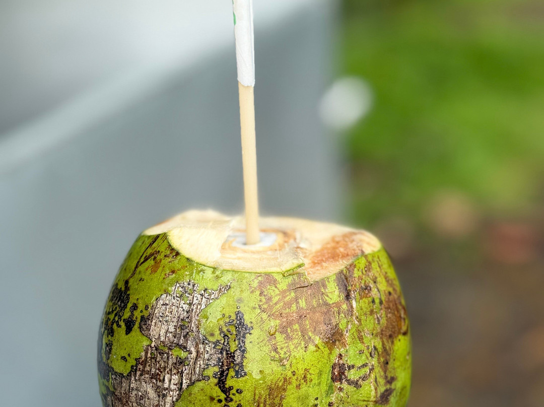 The Costa Ride-Quesada必去景点