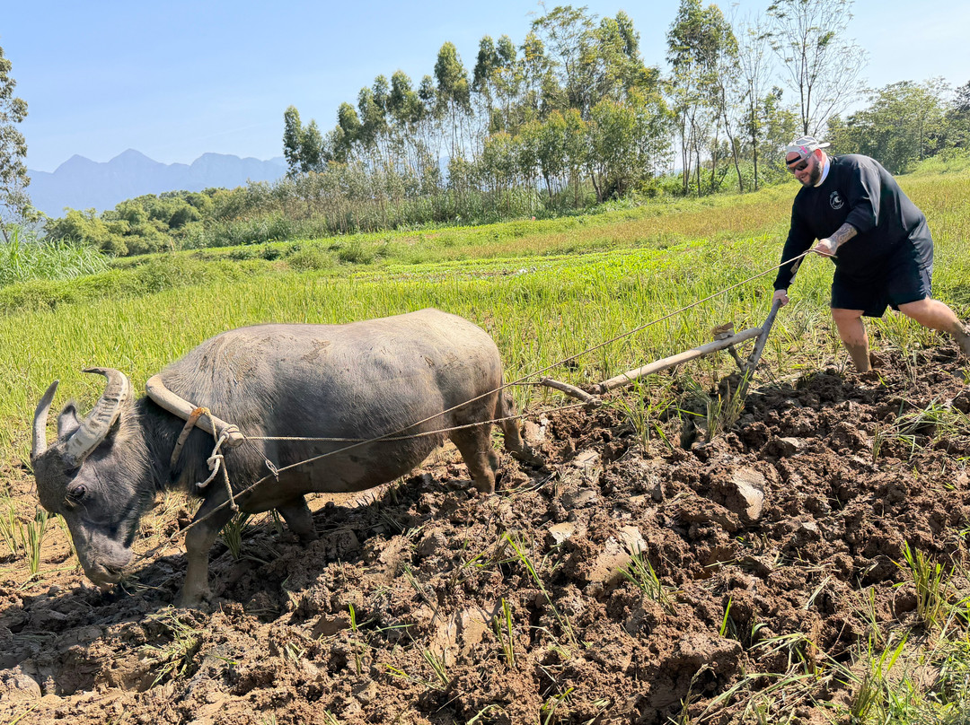 Hanoi Eco Tour - Day Tour-河内必去景点