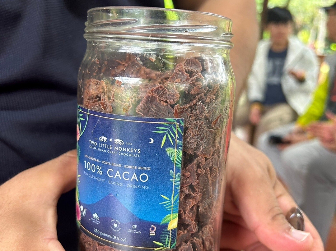 Two Little Monkeys Chocolate Tour-福德圣卡洛斯必去景点