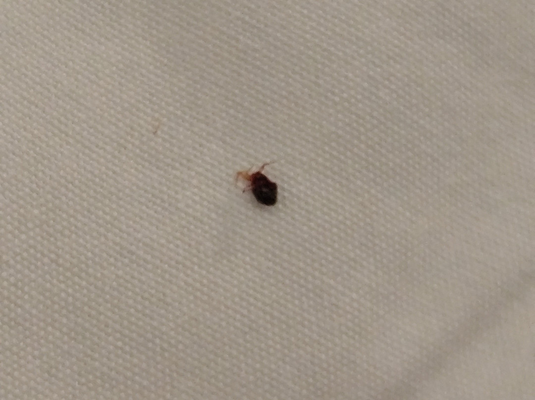 埃里卡酒店主图