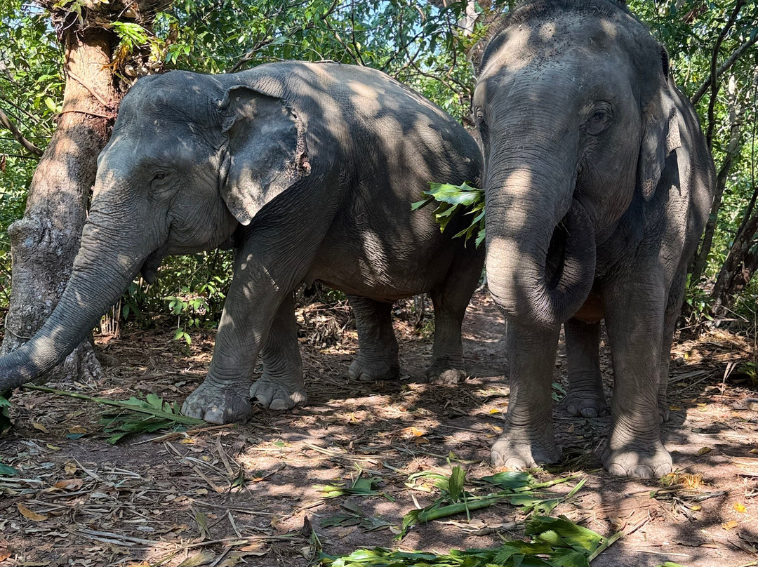 Koh Yao Elephant Beach-阁耀亚伊岛必去景点