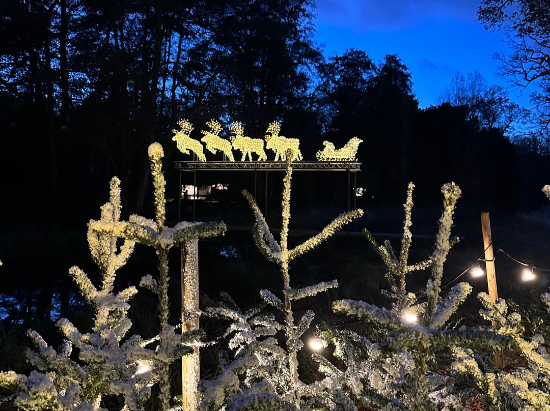 Audley End Miniature Railway-Saffron Walden必去景点