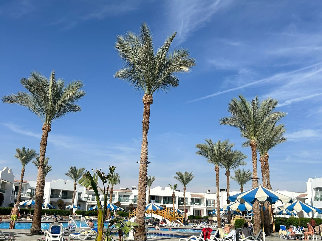 Panorama Naama Heights主图