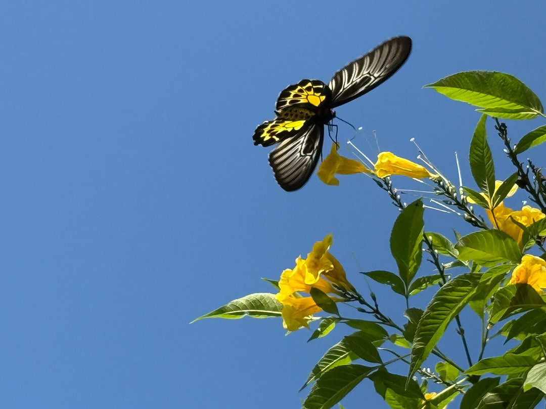 Cardamom House主图