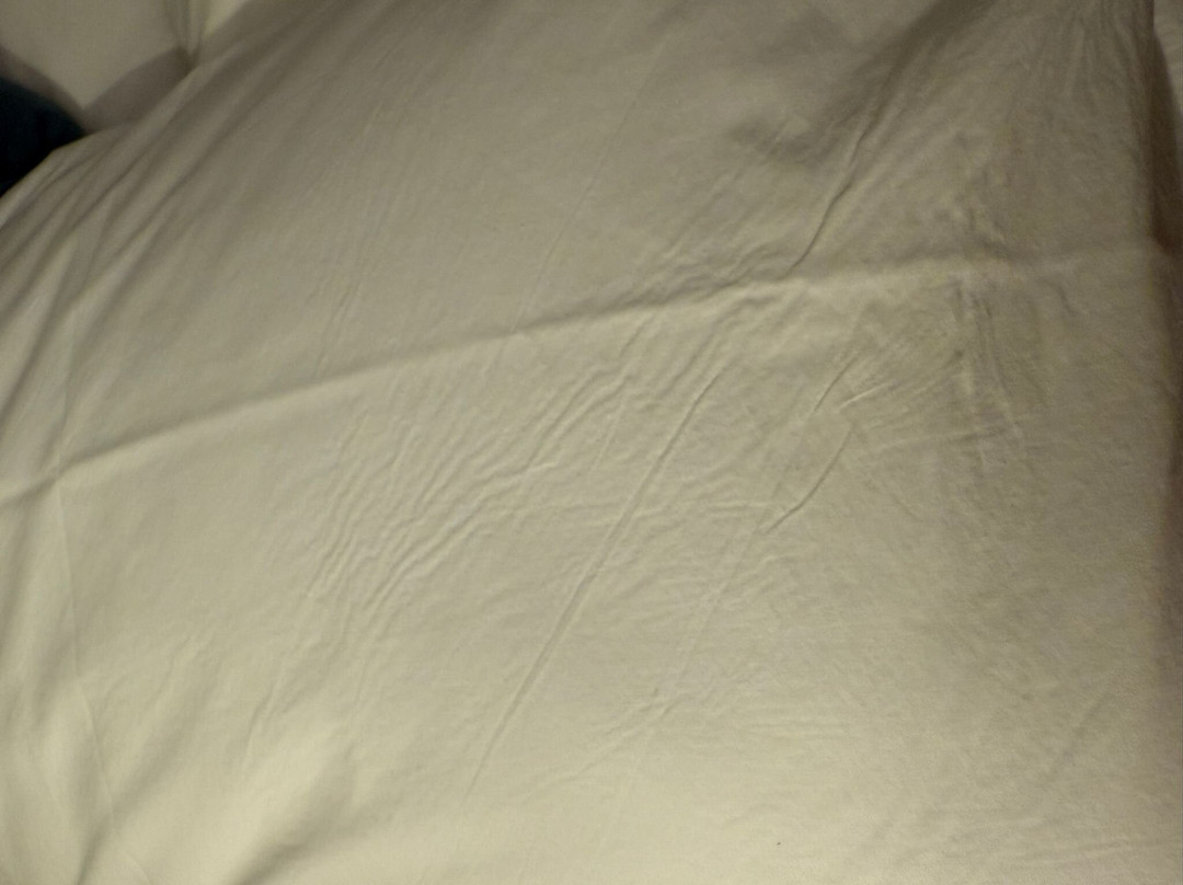 Hotel Black Tulip主图