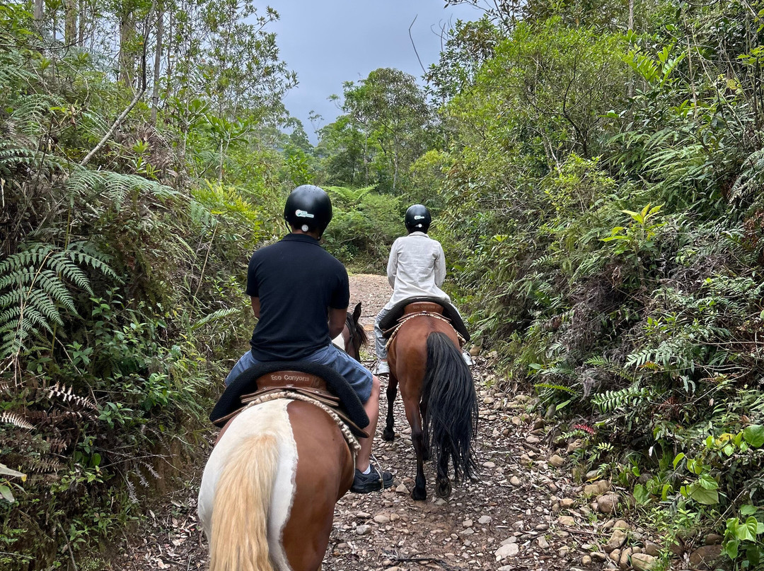 Eco Canyons-Praia Grande必去景点