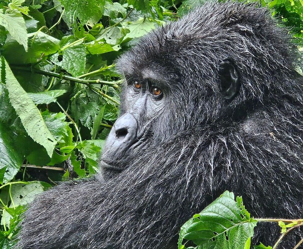 Grassrootz Adventures Uganda-坎帕拉必去景点