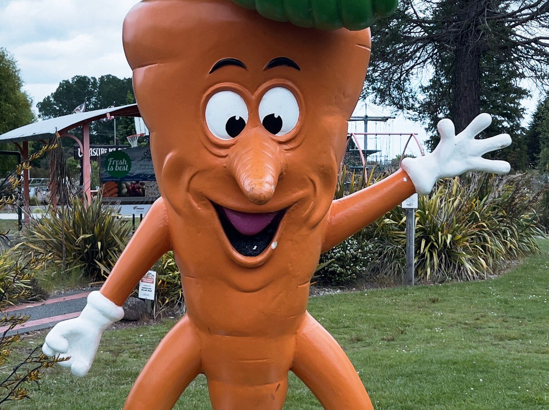 Ohakune Carrot Adventure Park-奥阿库尼必去景点
