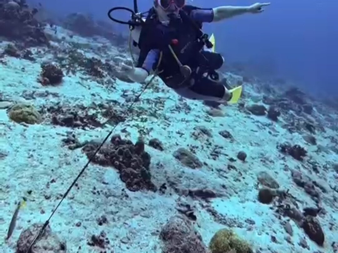 Addu Scuba Dive Maldives-阿斯杜太阳岛必去景点