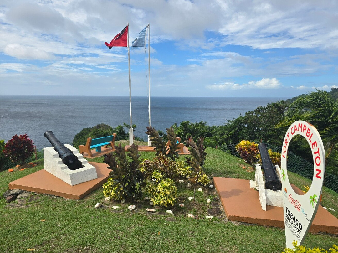 Dennison's Tourguiding Services-斯卡伯勒必去景点