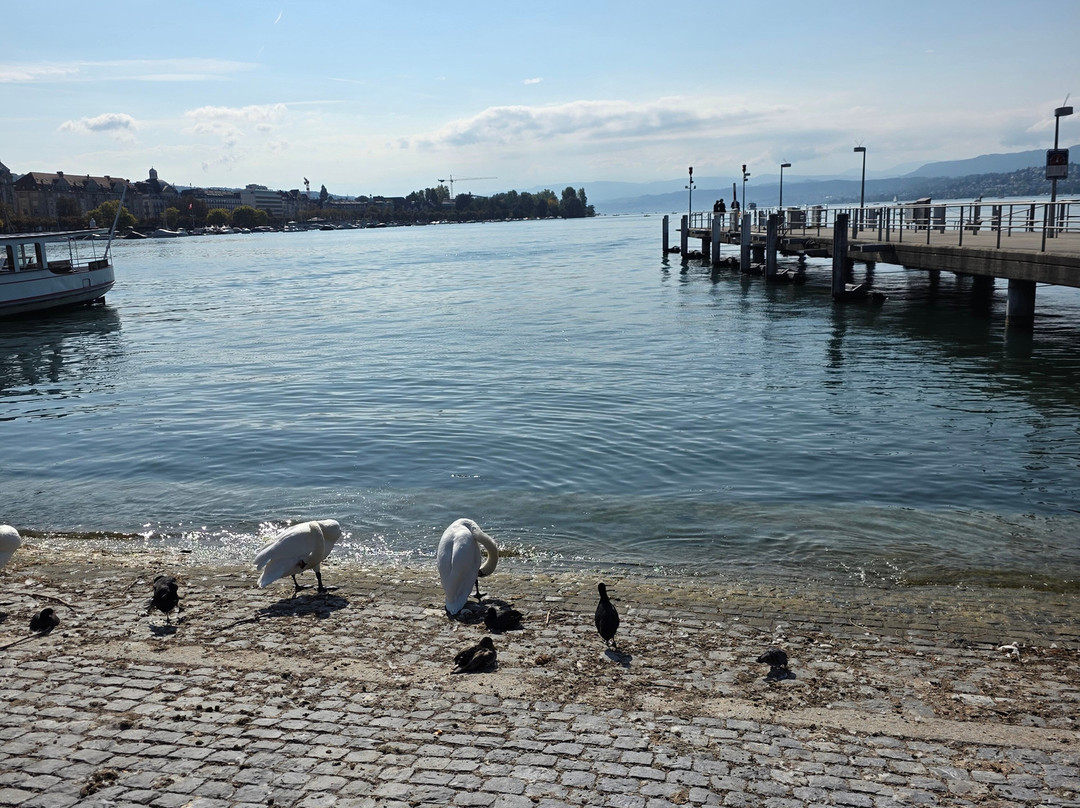 Bürkliplatz-苏黎世必去景点