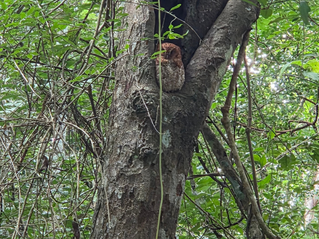 DANTA TOURS-Xpujil Town必去景点