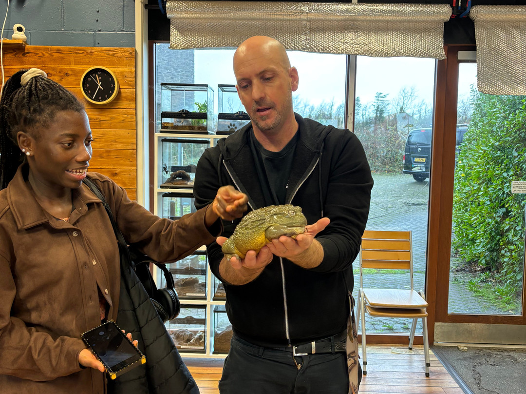 Really Wild Planet-比迪福德必去景点