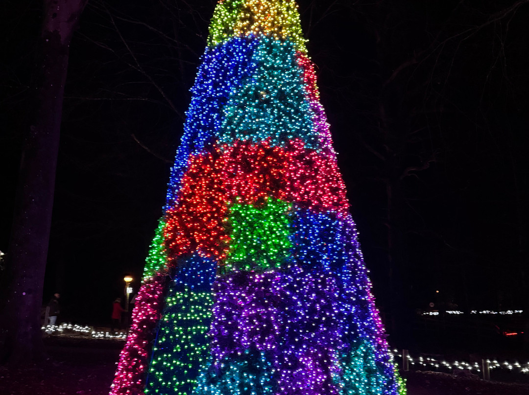 Center Parcs-Brandon必去景点