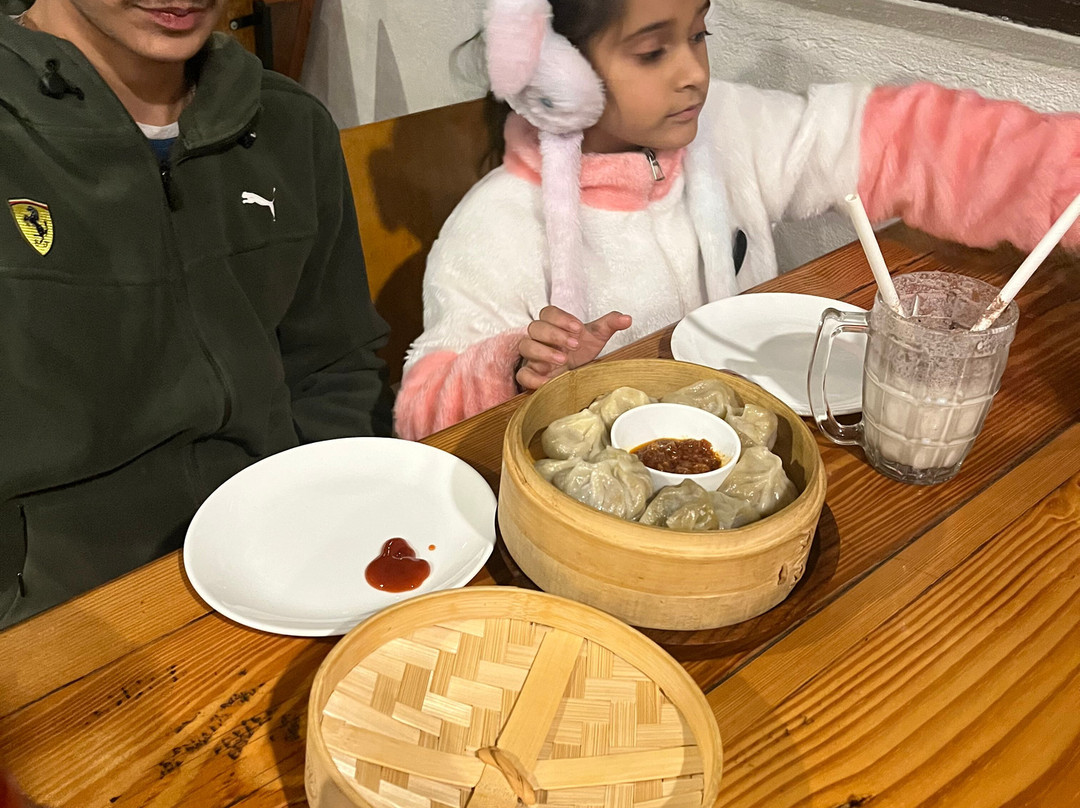 Himalayan Adrenaline-Palampur必去景点