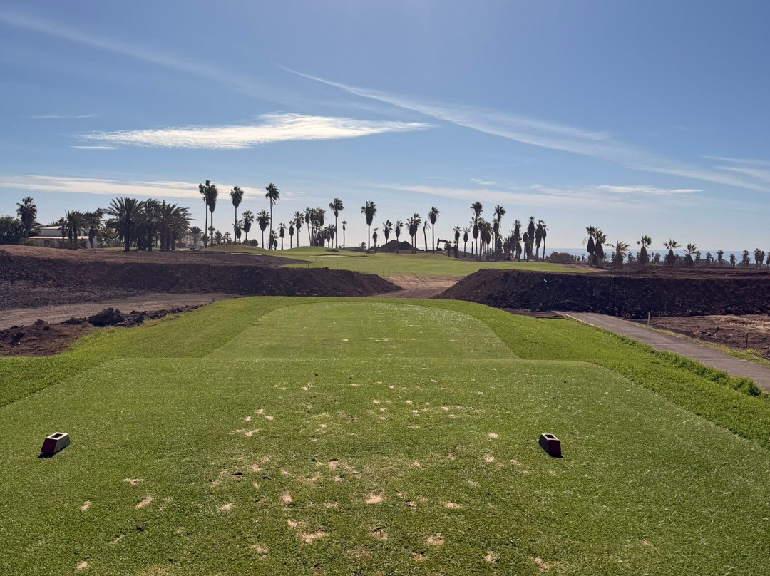 高尔夫球场区-Golf del Sur必去景点