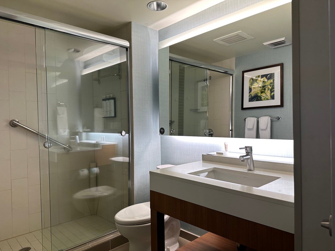 Hyatt Place St. Petersburg / Downtown-浴室