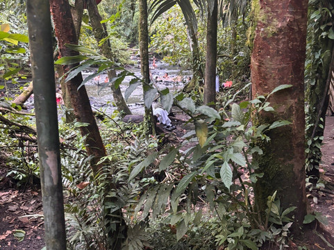 El Choyin-福德圣卡洛斯必去景点