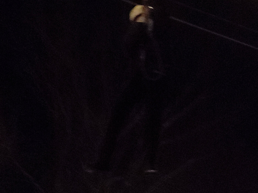 Screaming Raptor Zip Lines-Petersburg必去景点