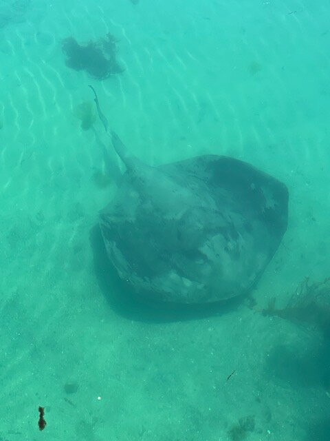 Southern Sea Ventures-霍巴特必去景点