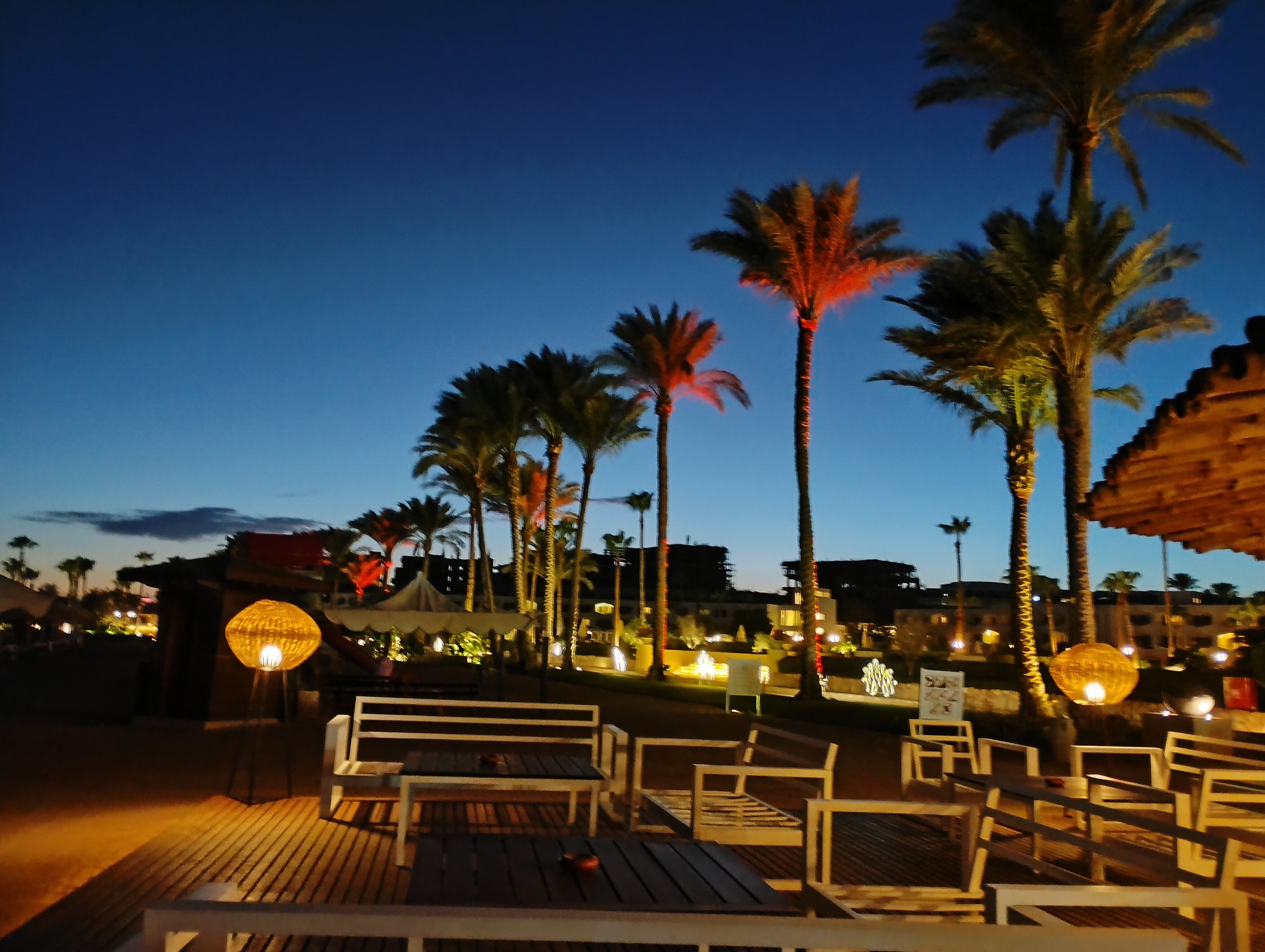 沙姆沙伊赫巴伦棕榈成人度假酒店-泳池