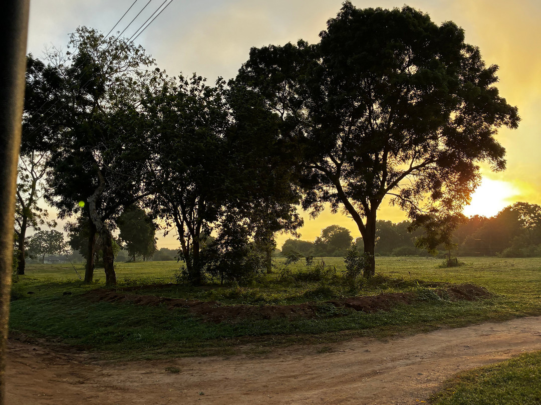 Jetco Lanka Tours-Kiribathgoda必去景点