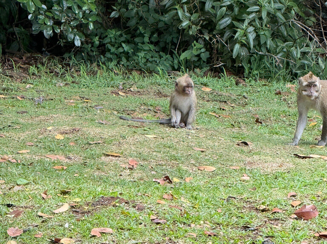 Peak Tours by Arnaud Peka-莫纳山必去景点