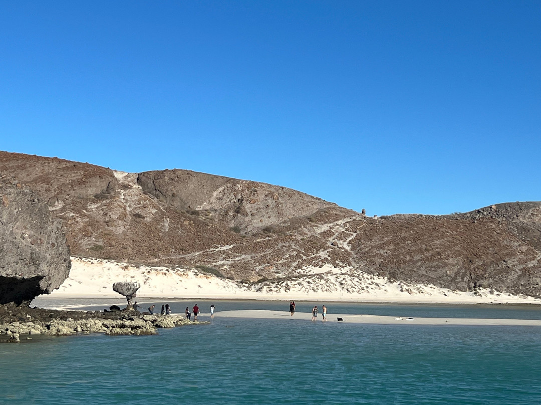 Baja Off Shore-拉巴斯必去景点