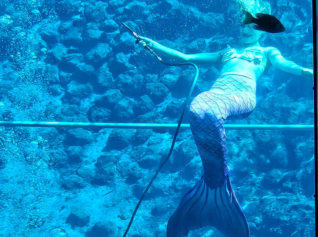 Weeki Wachee Springs-Weeki Wachee必去景点