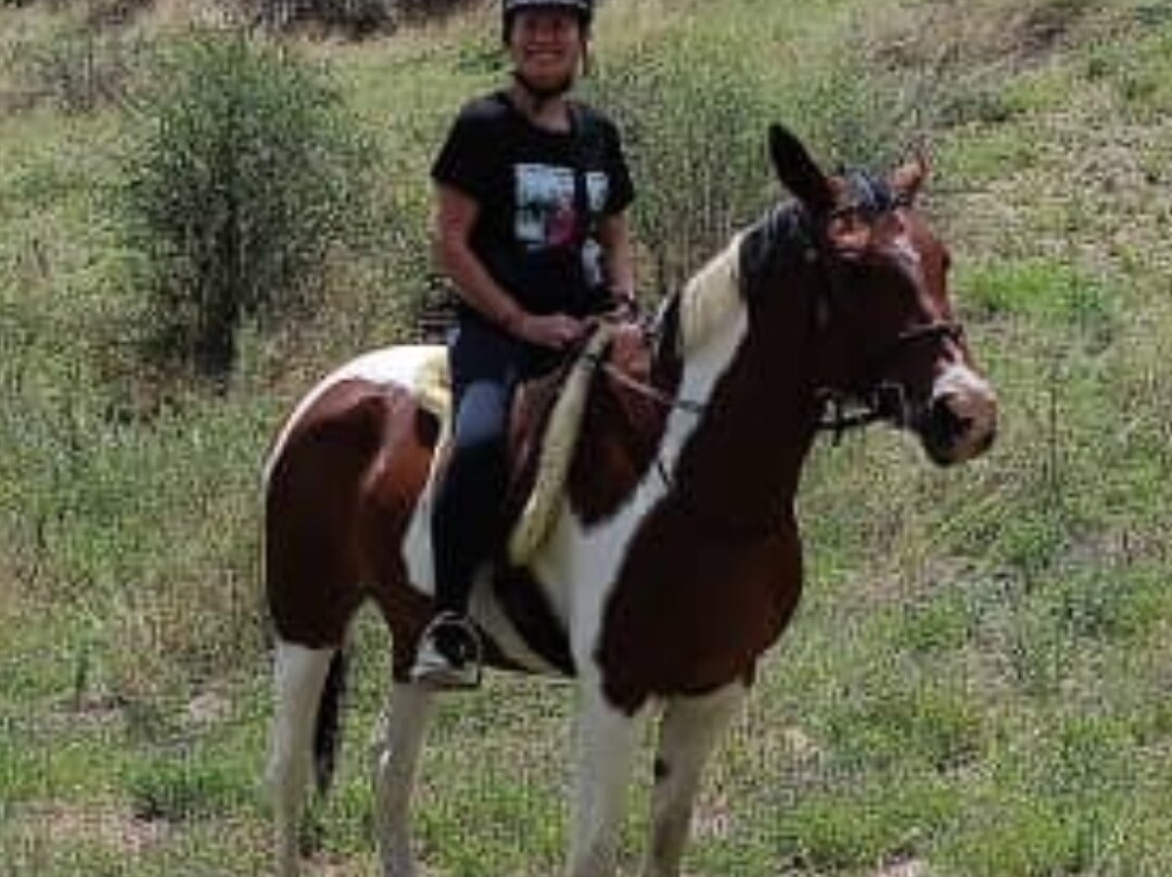 Equitrails Namibia-温德和克必去景点