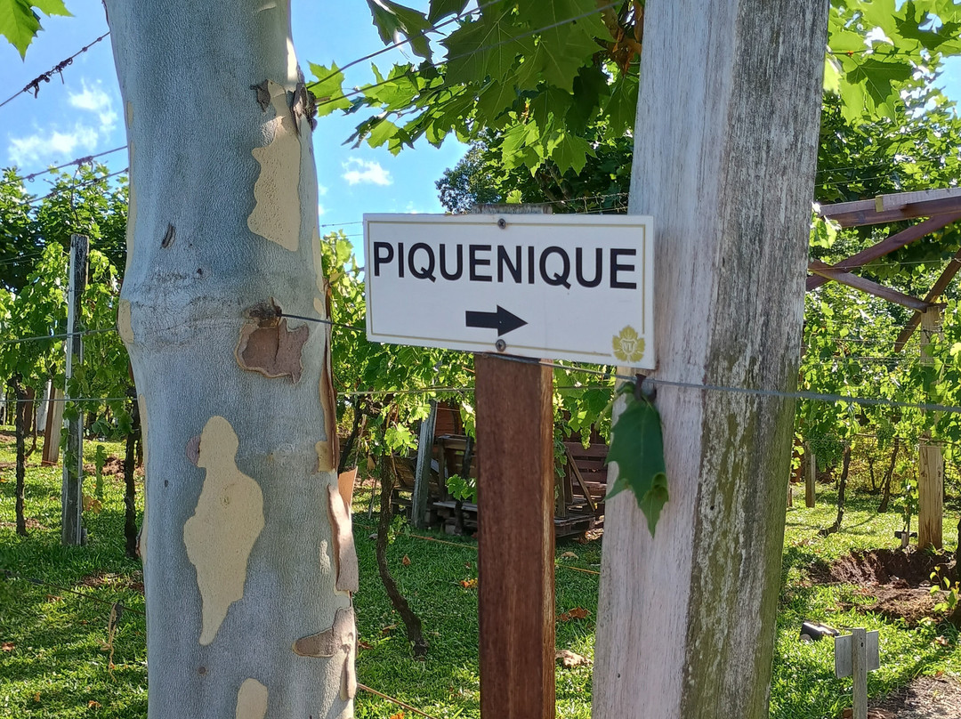 Vinhos Larentis-本图贡萨尔维斯必去景点