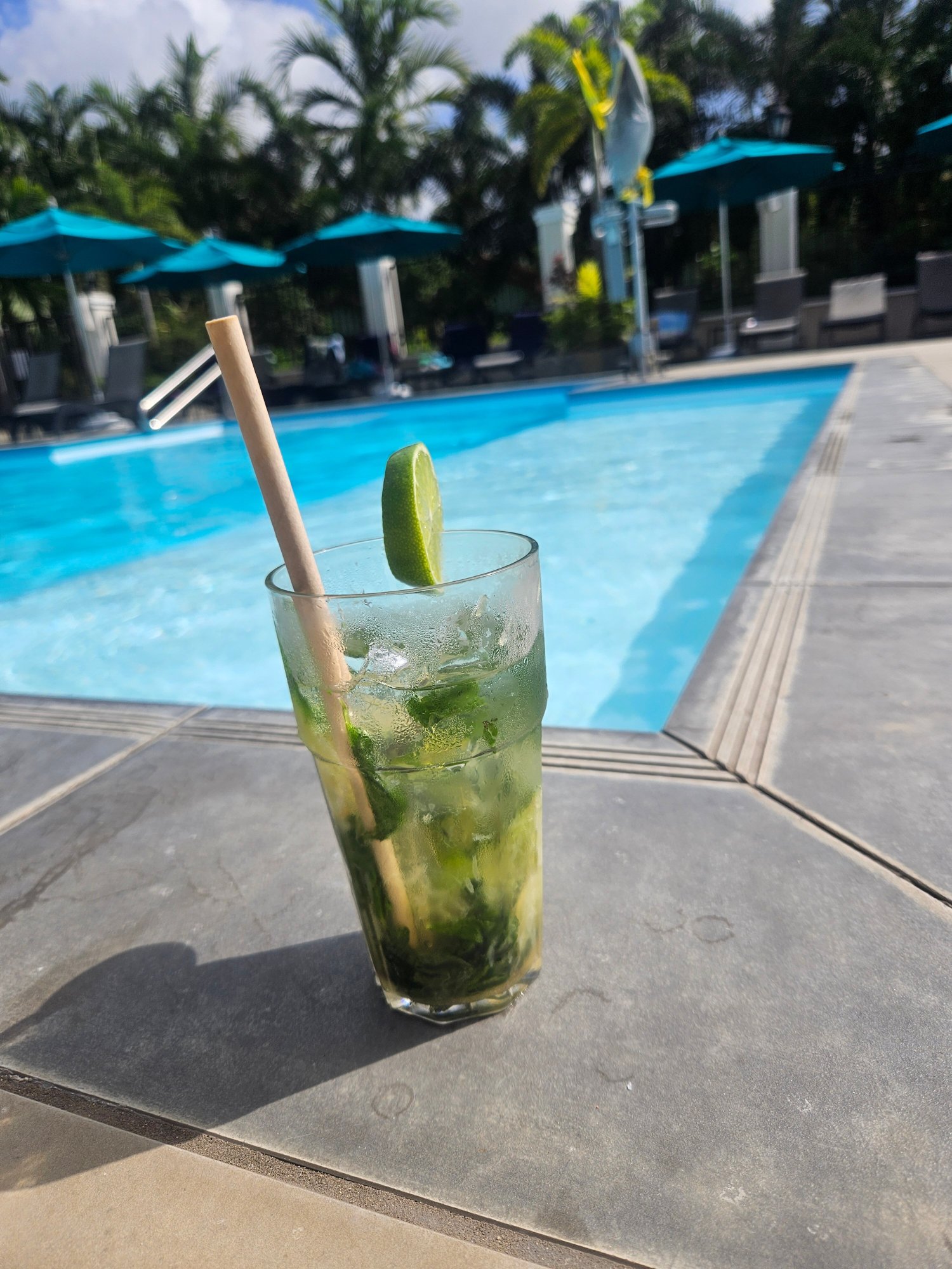 Hôtel Bambou-泳池