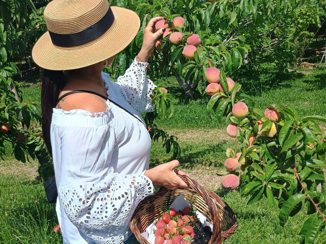 Casa Sander-Nova Petropolis必去景点