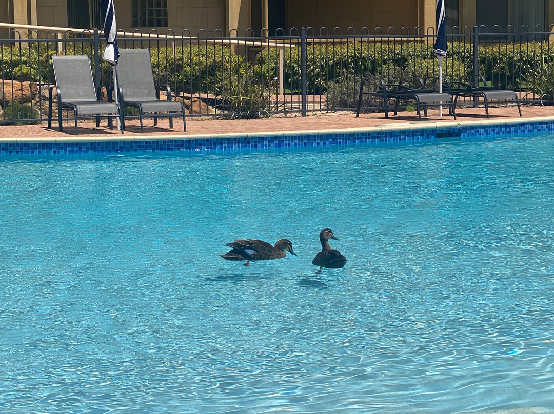 阿比海滩度假村主图