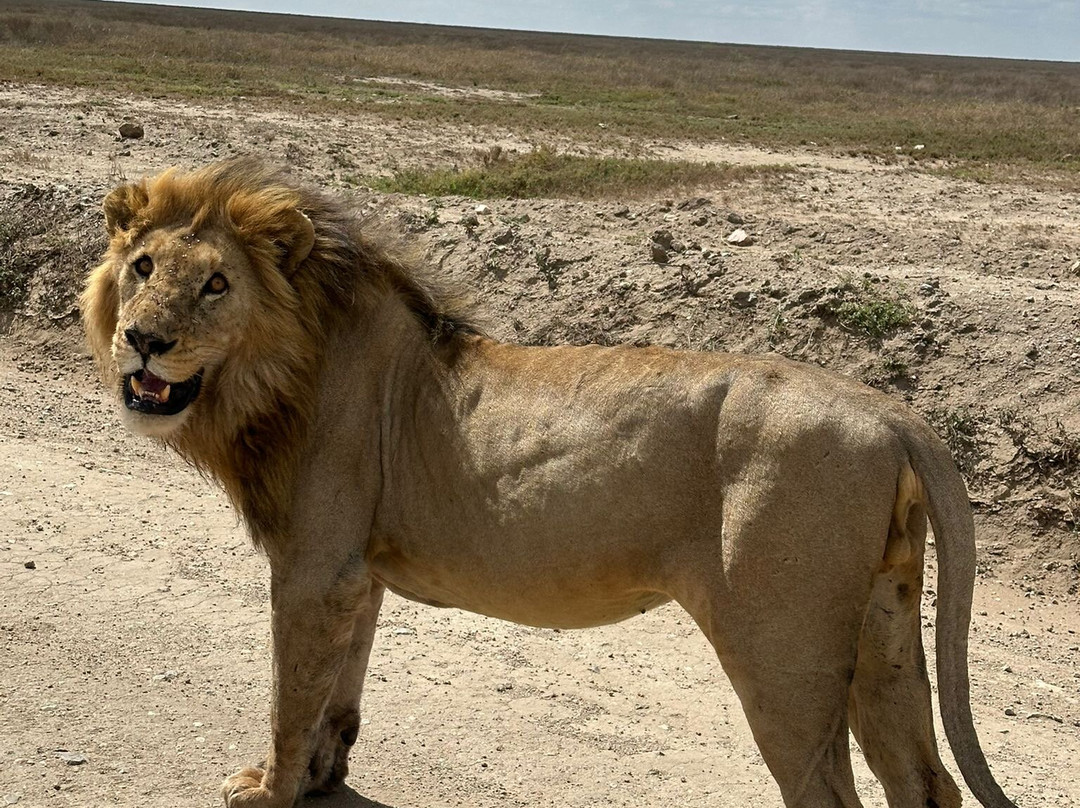 Masumin car hire & safaris-姆万扎必去景点