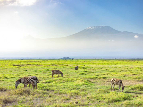 Ways of Africa-内罗毕必去景点