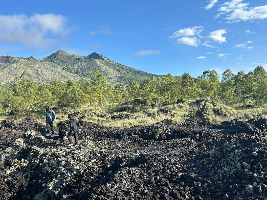 Bali and Car - Rent a car with driver-Dangin Puri必去景点