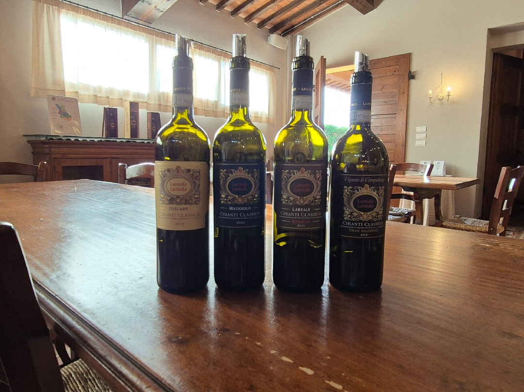 Lamole di Lamole-格雷韦伊恩基亚恩蒂必去景点