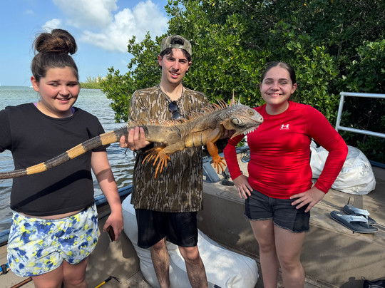 I Wanna Iguana Hunt-基韦斯特必去景点