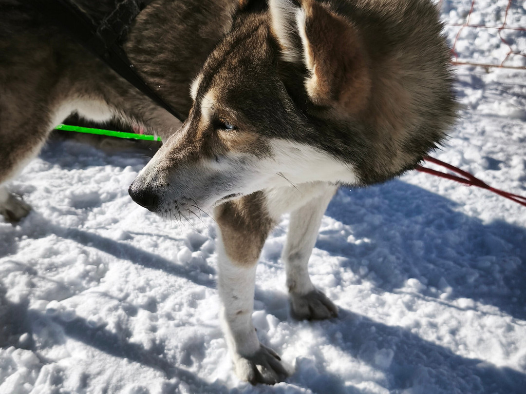 Alpi Traineau-Orcieres必去景点