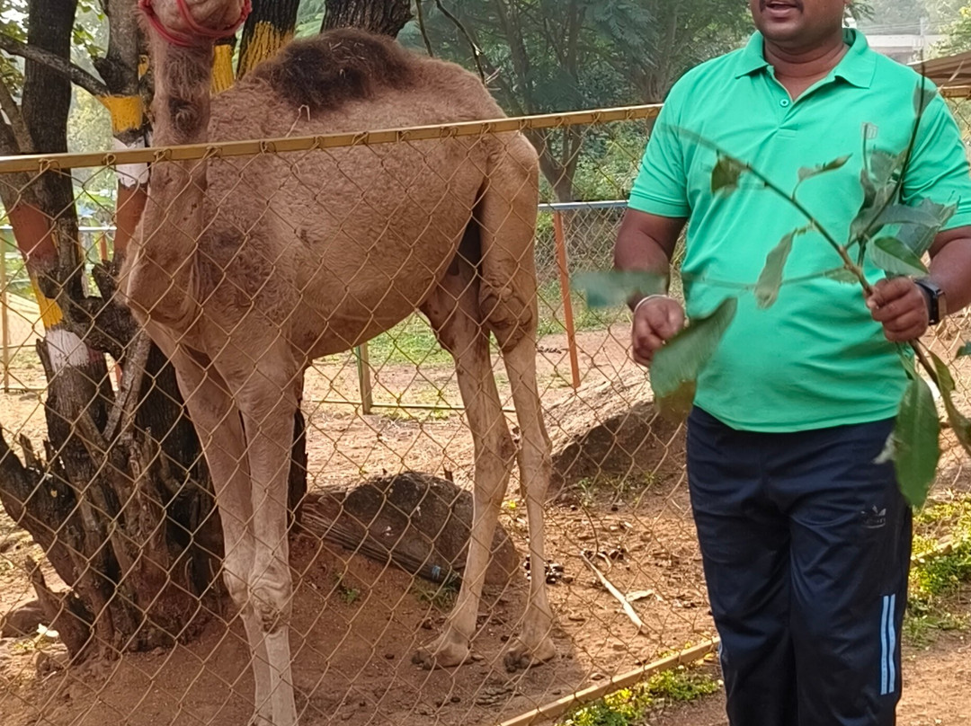 Cloud Forest Entertainment Park-Yelagiri必去景点