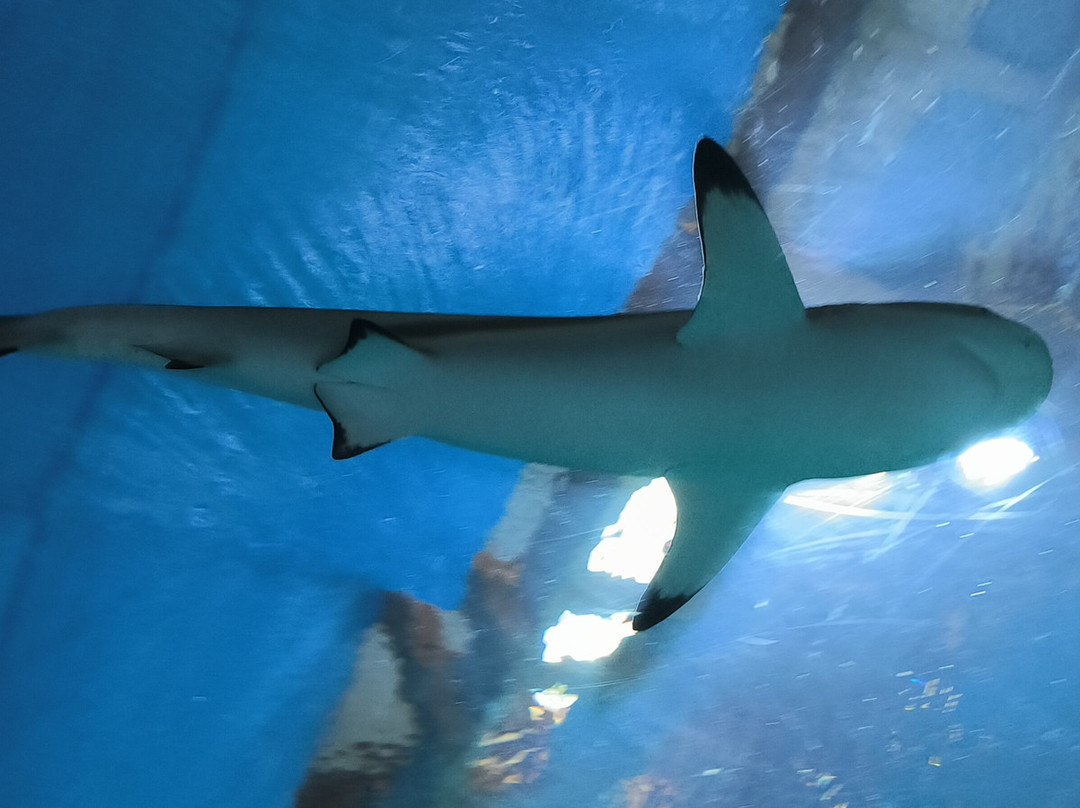 Orientarium Zoo Lodz-罗兹必去景点