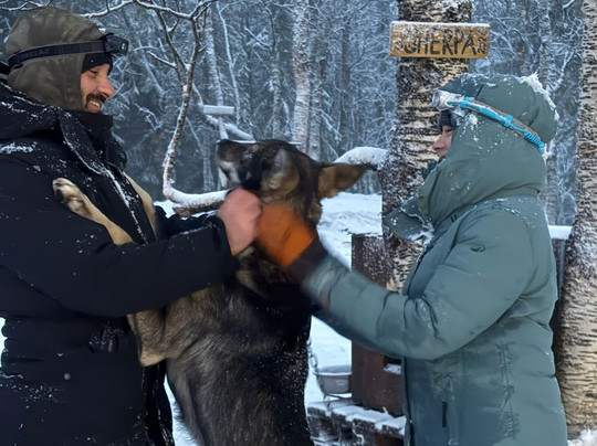Into Nature-Meistervik必去景点