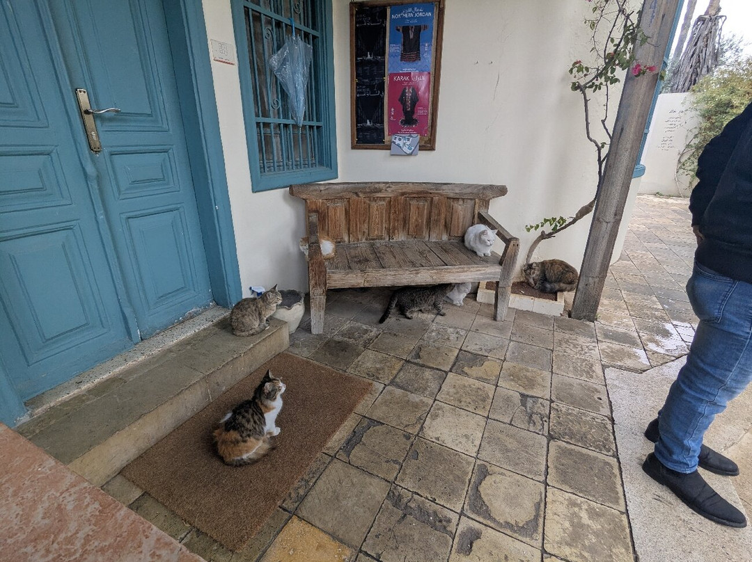 Darat al Funun-安曼必去景点