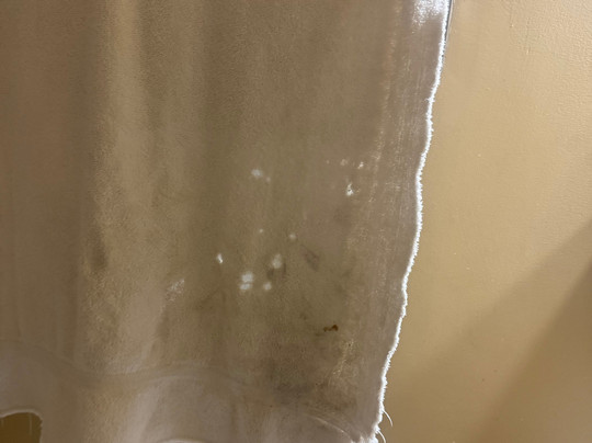 The Prince Hotel, an Ascend Hotel Collection Member主图