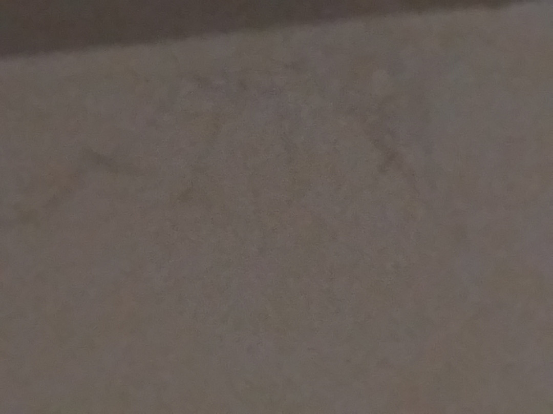 Travelodge Berwick upon Tweed主图